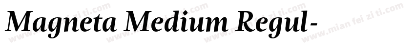 Magneta Medium Regul字体转换